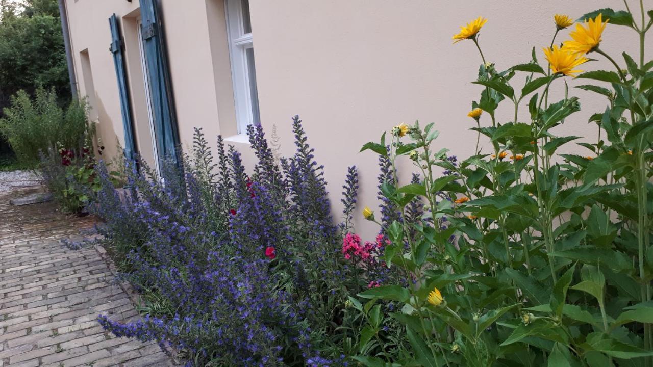 Blumenhaus Appartement Velten Buitenkant foto