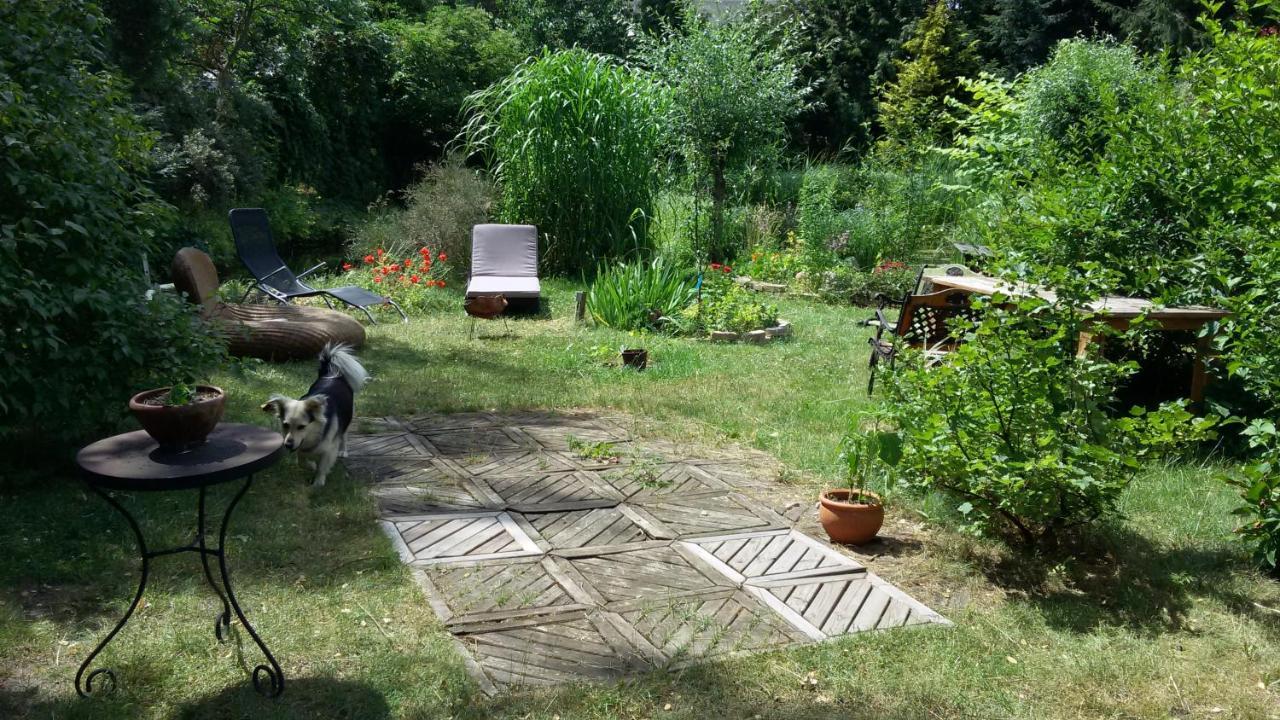 Blumenhaus Appartement Velten Buitenkant foto