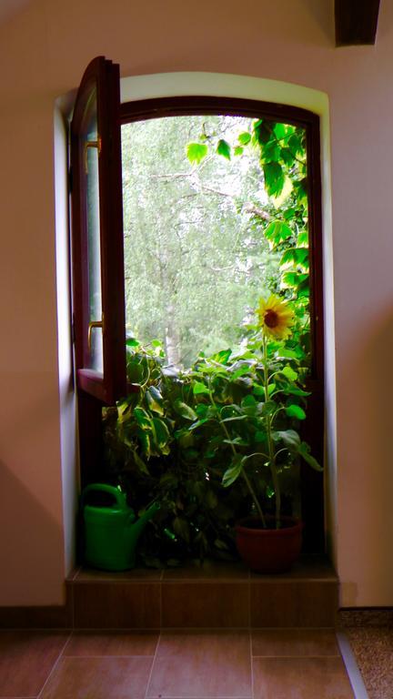 Blumenhaus Appartement Velten Buitenkant foto